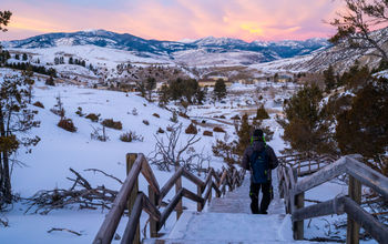 Yellowstone National Park