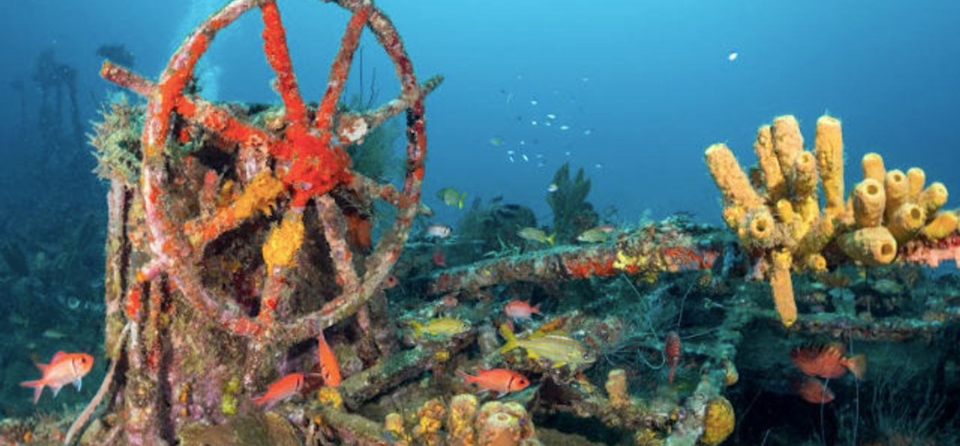 Image: The wrecks of Saint-Pierre-Les Épaves; photo courtesy of V. Gilles-Lagrange