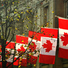 Canada House, Canadian National Flags, Trafalgar Square, London, embassy, maple leaf