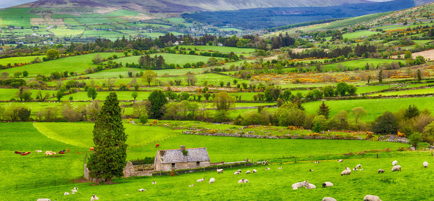 Image: The charming Irish countryside. (photo via iStock/Getty Images Plus/espiegle)