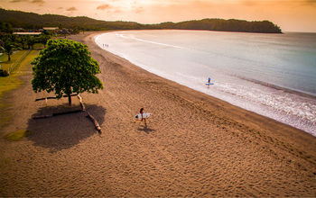 Surfer in Playa Venao