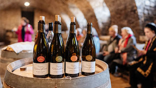 Learn to compare Old World and New World wines