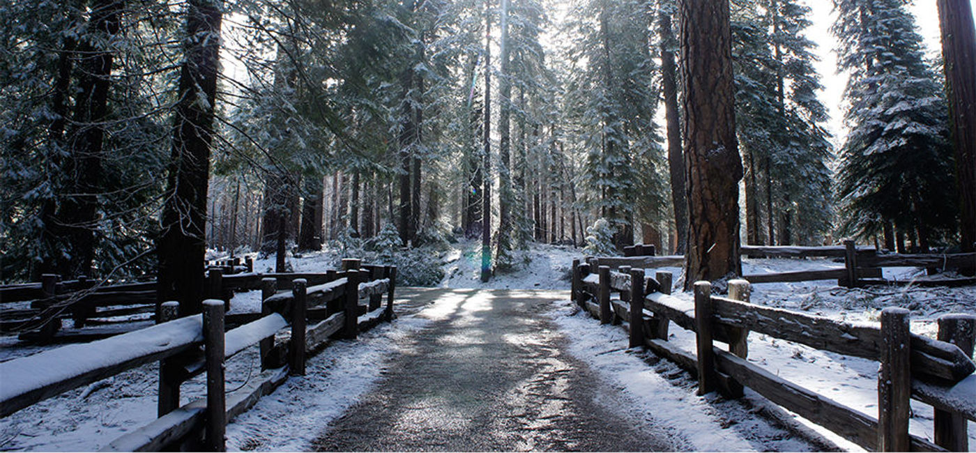 Image: PHOTO: California's Yosemite National Park offers skiing, snowboarding and many other options for winter fun. (photo via Flickr/ghr0417)
