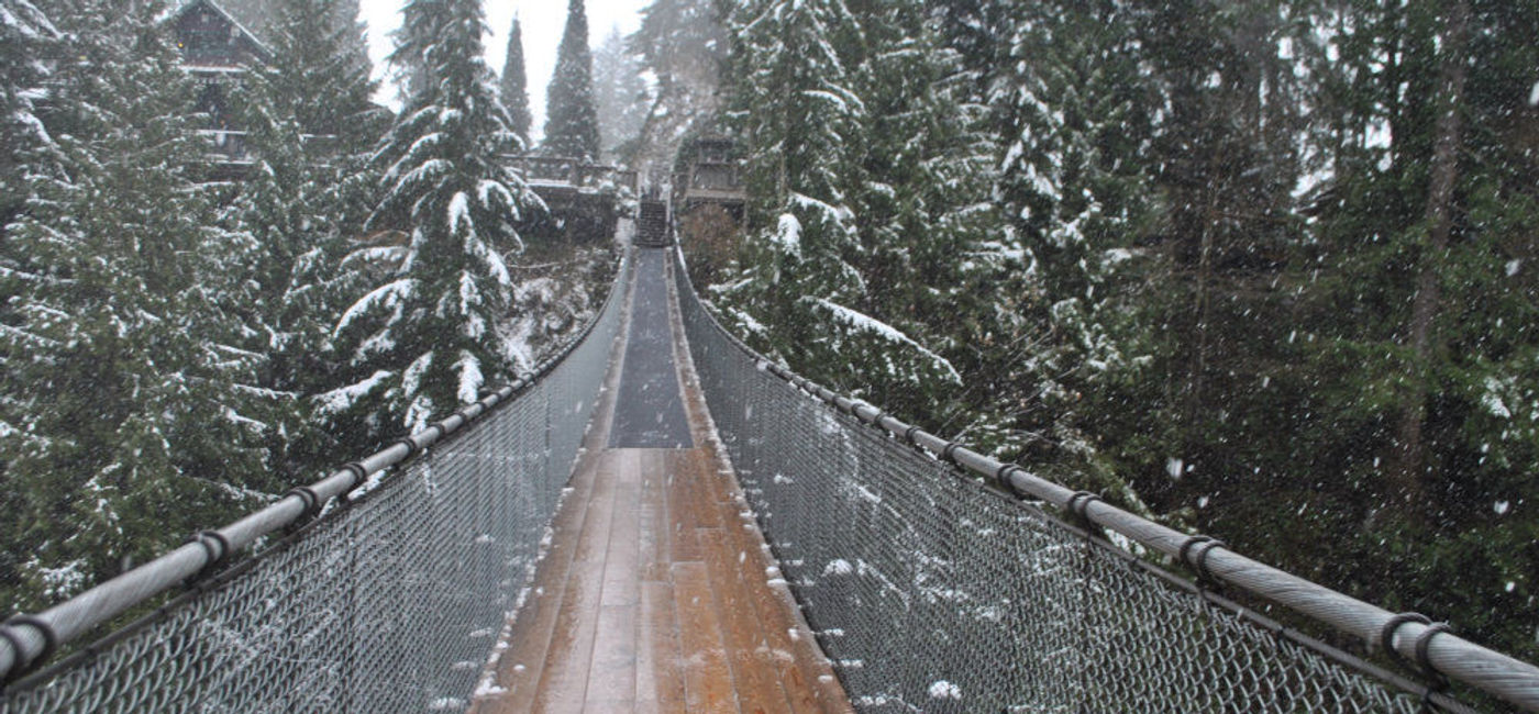 Image: PHOTO: The Capilano Suspension Bridge is a must-see spot in Vancouver. (Photo by Rosalind Cummings Yeates)
