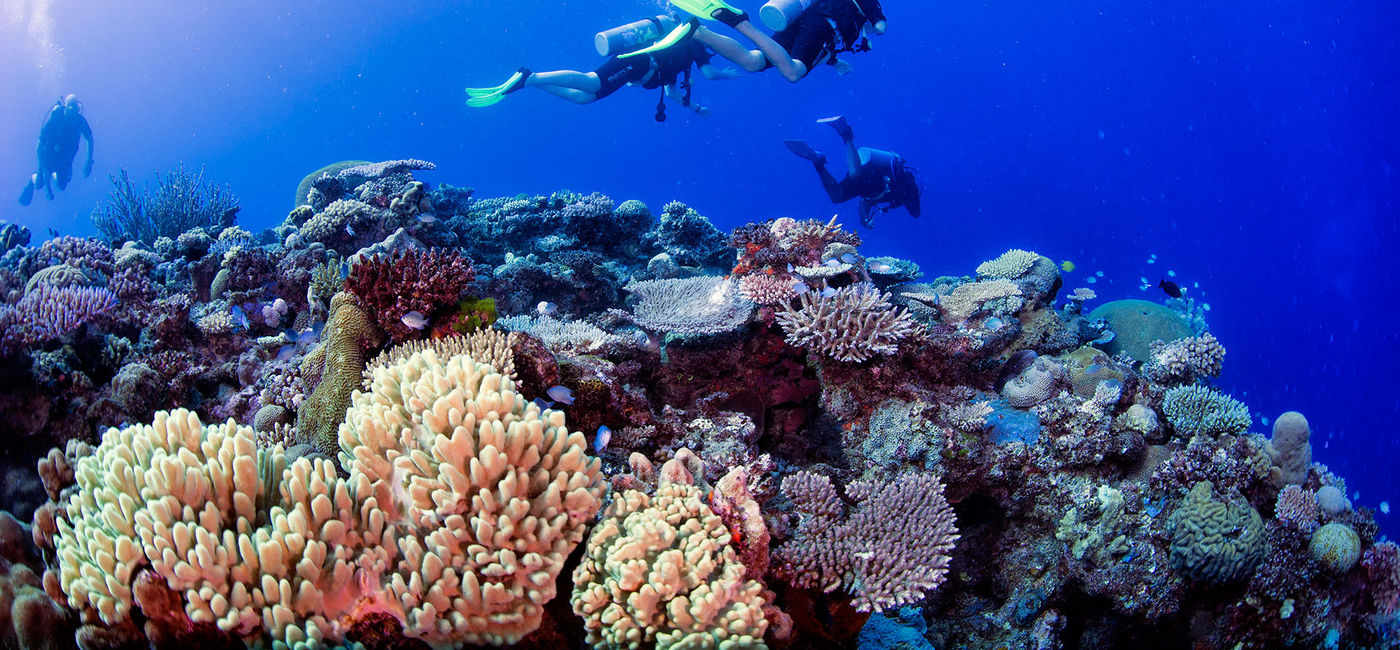 Image: Scuba diving in Fiji. (Photo via Tourism Fiji)