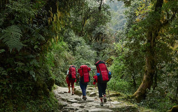 Ghorepani, Nepal, forests, hiking, Intrepid Travel, eco-friendly travel, sustainable tours