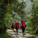 Ghorepani, Nepal, forests, hiking, Intrepid Travel, eco-friendly travel, sustainable tours