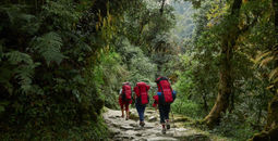 Ghorepani, Nepal, forests, hiking, Intrepid Travel, eco-friendly travel, sustainable tours
