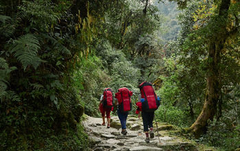 Ghorepani, Nepal, forests, hiking, Intrepid Travel, eco-friendly travel, sustainable tours
