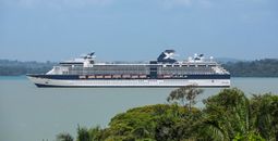 Celebrity Infinity