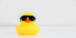 Rubber duck.