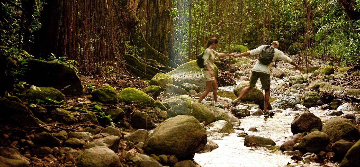 Image: St. Kitts rainforest hike (photo via St. Kitts and Nevis Tourism Authority) ((photo via St. Kitts and Nevis Tourism Authority))