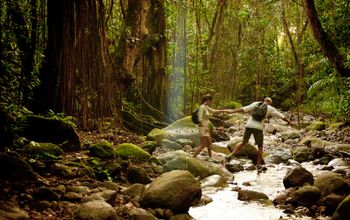St. Kitts rainforest hike from St. Kitts and Nevis Tourism Authority