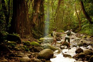 St. Kitts rainforest hike from St. Kitts and Nevis Tourism Authority