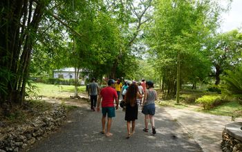 Travelers in Jamaica