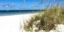 Fort Myers; Florida Gulf Coast