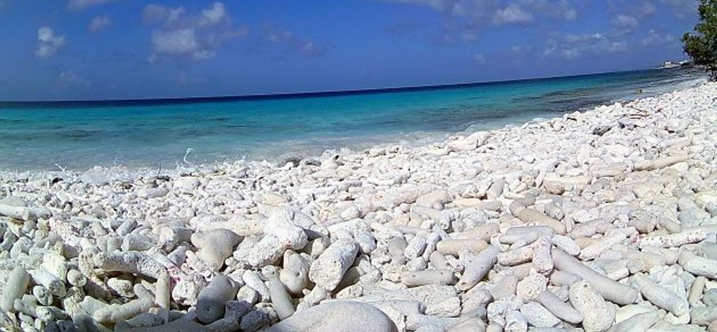 Image: PHOTO: Bonaire shoreline. (photo by Gary Crow)