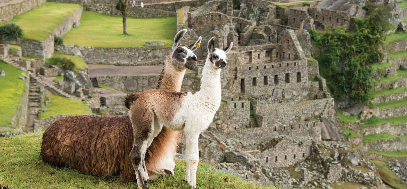 Image: Machu Picchu remains a safe area in Peru despite a new travel advisory for Americans. (Courtesy of Cox & Kings) (Cox & Kings)