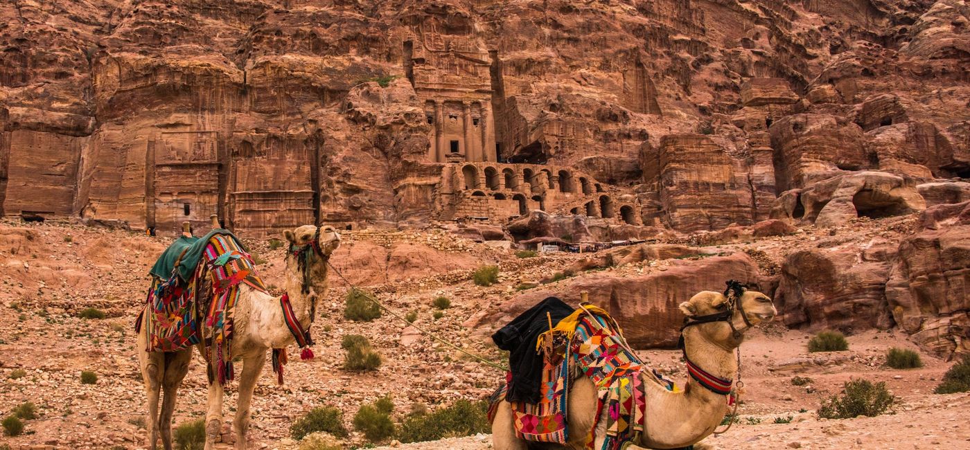 Image: Camels in front of the archaeological site at Petra, Jordan.  (Source: Pleasant Holidays)