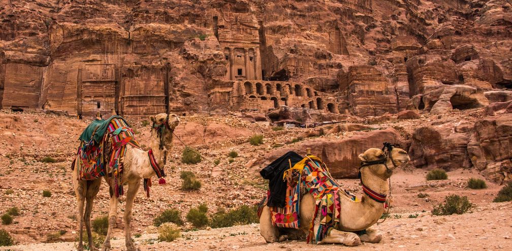 Camels, archaeological site, Petra, Jordan, Middle East