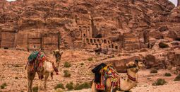 Camels, archaeological site, Petra, Jordan, Middle East