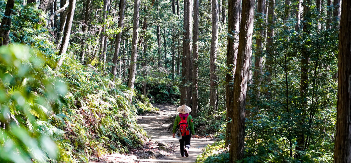 Image: A pilgrim walks the Kumano Kodo Pilgrimage Route. (photo via JNTO) ((photo via JNTO))