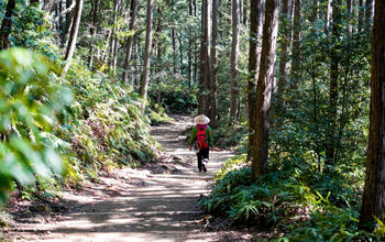 Kumano Kodo, sustainability, pilgrimage route, Japan, Japan National tourism Organization, JNTO