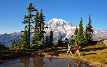Hiking Mount Rainier National Park