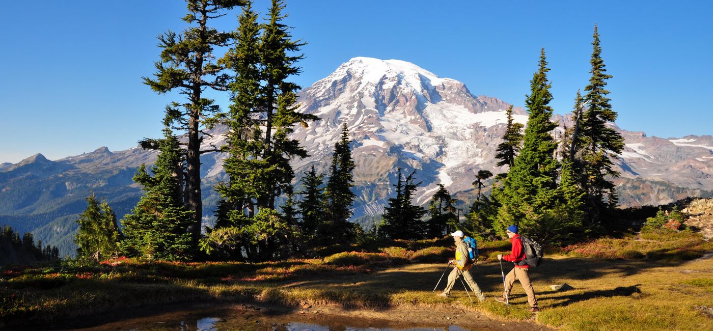 Image: Hiking Mount Rainier National Park. (photo via thinair28/E+)
