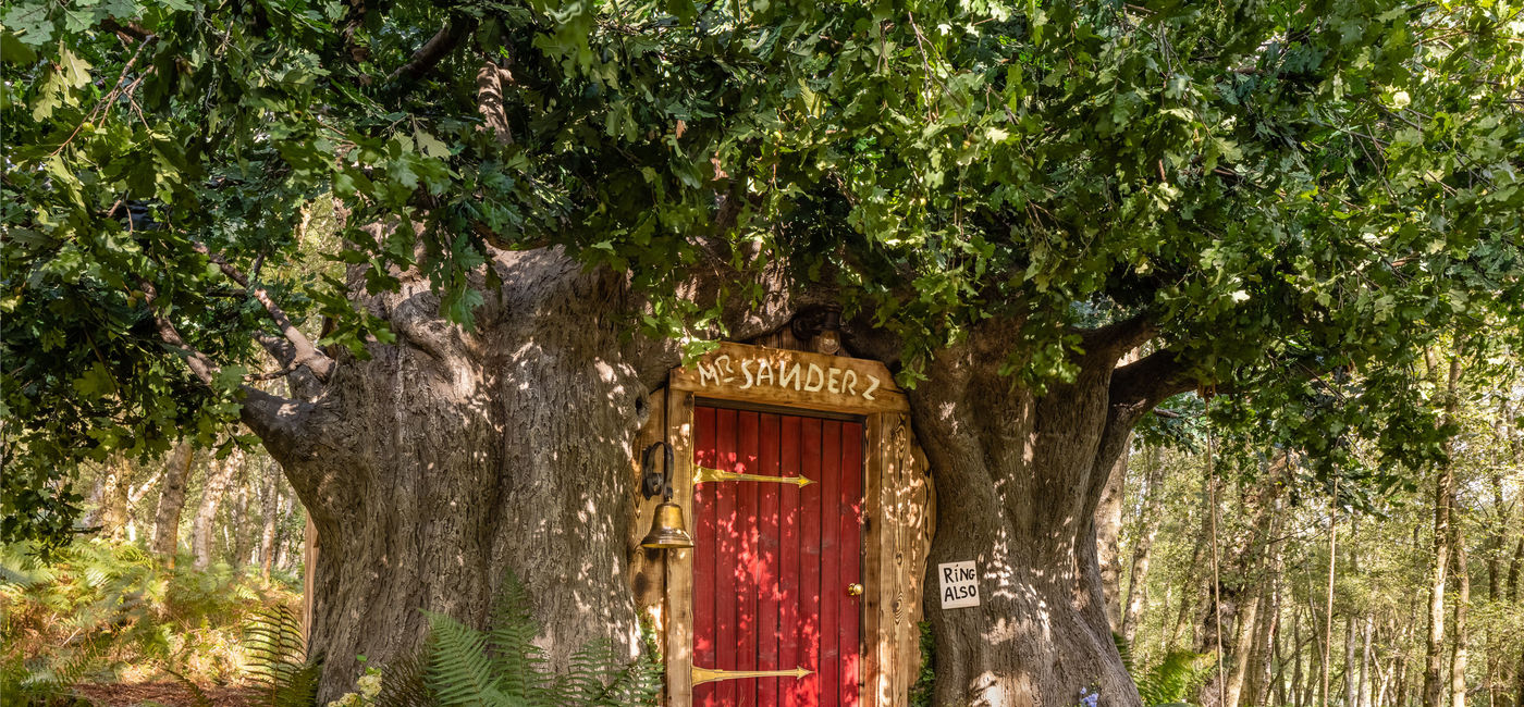 Image: The exterior of the Bearbnb. (photo via Henry Woide) ((photo via Henry Woide))