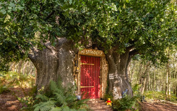 The exterior of the Bearbnb.