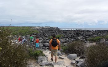 Galapagos Islands, Ecuador