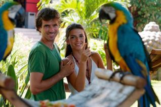 Bird-Watching at Sandos Caracol