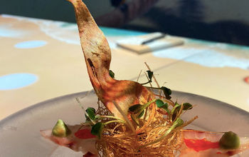 Awaken Your Senses, Hard Rock Los Cabos