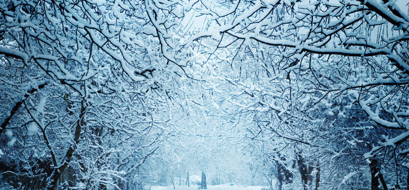 Image: PHOTO: Dream Vacations could have you walking in a winter wonderland just like this. Photo courtesy of Thinkstock (Thinkstock)