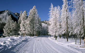 Winter Travel