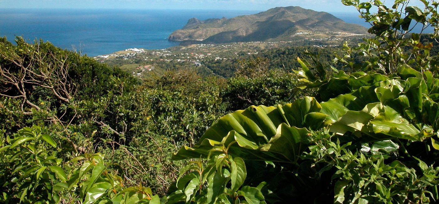 Image: Montserrat celebrates St. Patrick's Day in a way that combines the island's African and Irish heritages. (photo via iStock / Getty Images Plus / TheBT) (iStock / Getty Images Plus /  TheBT)