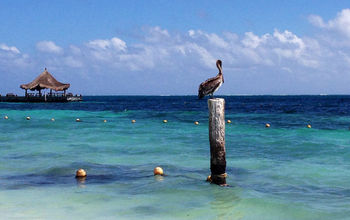 Cancun beach