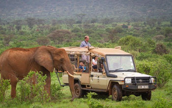 Personal Safari, African Travel Inc.