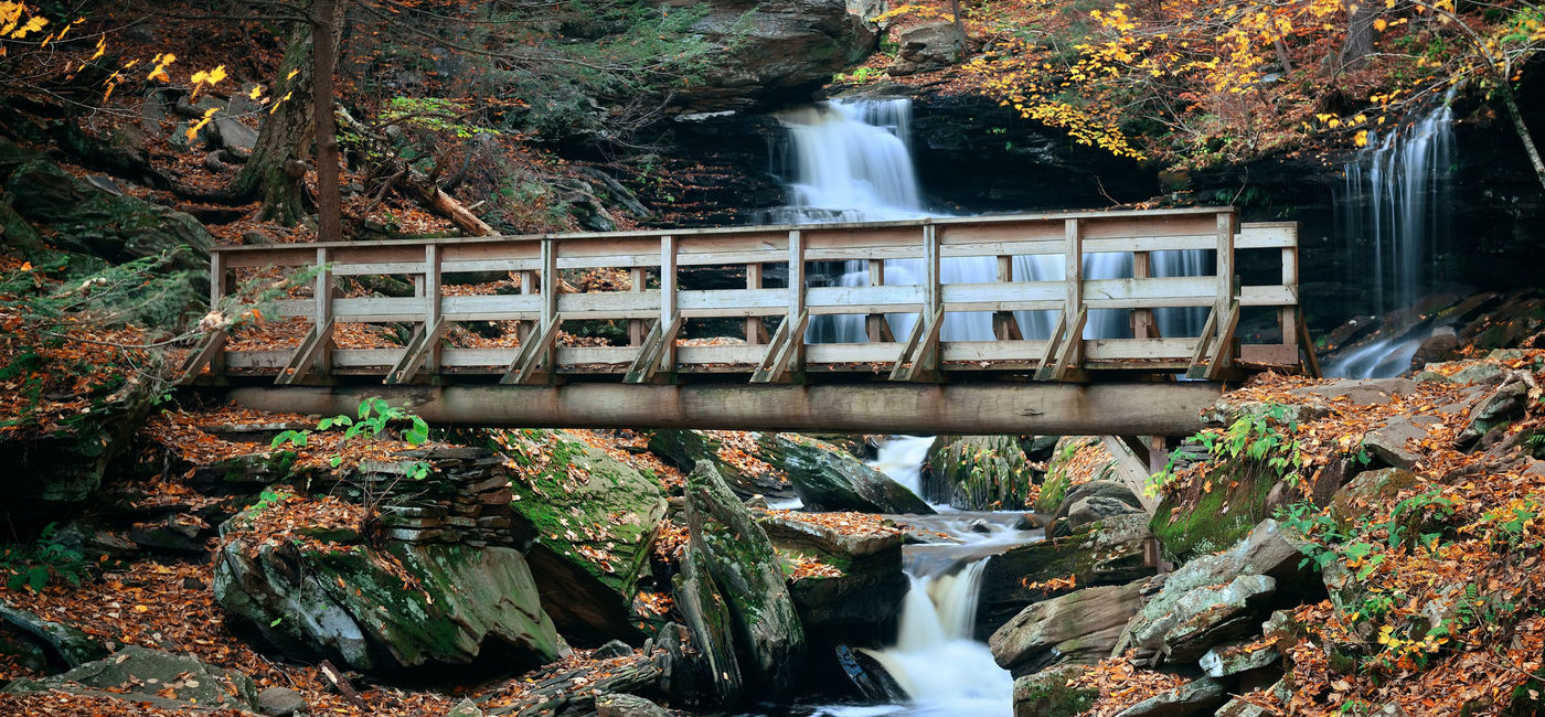Image: Ricketts Glen State Park, Pennsylvania during the fall. (photo via rabbit75_ist/iStock/Getty Images Plus)
