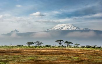 Kenya, Amboseli National Park, EF Go Ahead Tours