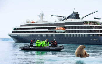 Atlas Ocean Voyages, Zodiac, arctic animals, polar animals, Arctic expeditions, arctic expedition cruise, walrus