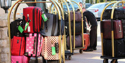 Baggage, suitcases, bellman