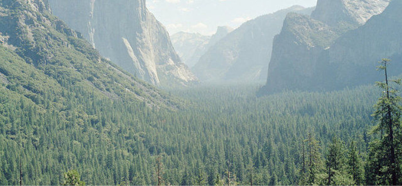 Image: PHOTO: .Tunnel View, Yosemite (Photo via Flickr/Michelle Rae Holland)