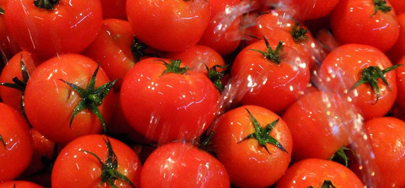 Image: PHOTO: Tomatoes (Photo via Flickr/El Coleccionista de Instantes)