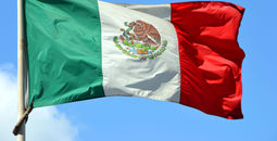 The Mexican national flag.