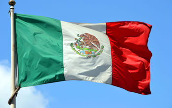 The Mexican national flag.