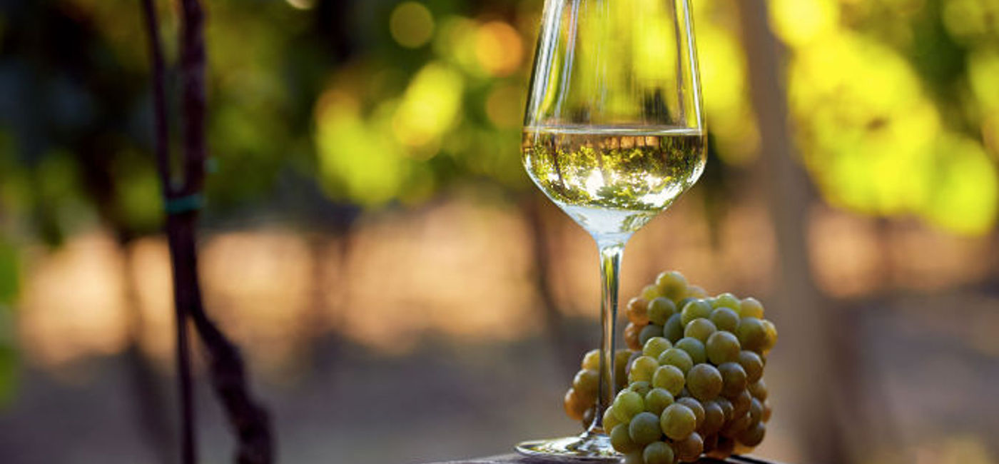 Image: The Chilean vineyards offer their visitors tastings and tours through the beautiful country countryside. (Photo via Rostislav_Sedlacek/iStock/Getty Images Plus). (Photo via Photo via Rostislav_Sedlacek/iStock/Getty Images Plus)