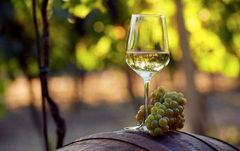 The Chilean vineyards offer their visitors tastings and tours through the beautiful country countryside. (Photo via Rostislav_Sedlacek/iStock/Getty Images Plus).