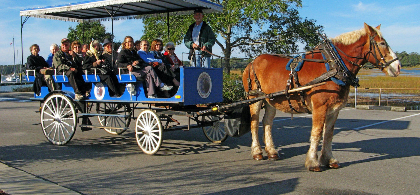 Image: A Collette horse-drawn carriage excursion in Beaufort, S.C. (photo via Collette) (Collette Tours)